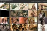 Black Transsexual Beauty Queens 3 [DVDRip] 888 MB - :LadyBoyOnly