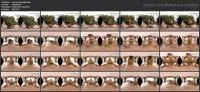 Yasmin Dornelles [FullHD 1080p] 860.5 MB - :LadyBoyOnly