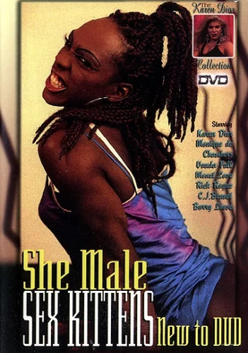Online She-Male Sex Kittens [SD] 998,58 Mb ladyboyonly.com